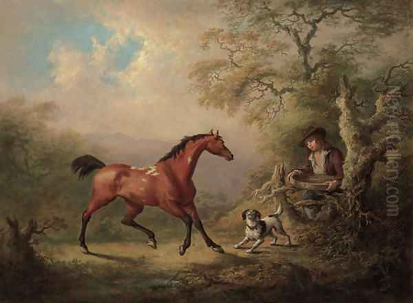 A groom offering a feeding sieve to a bay pony, in a wooded landscape - view 1