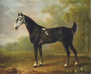 Nimrod aged seven, in a wooded landscape by Sawrey Gilpin