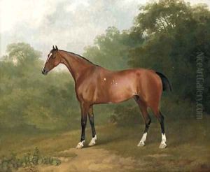 A bay horse in a wooded landscape by Sawrey Gilpin