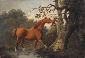 A Chestnut Horse by Sawrey Gilpin