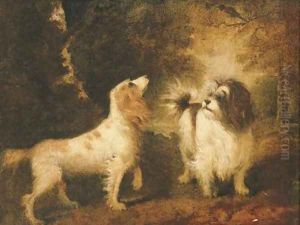 A Spaniel and a Terrier in a landscape by Sawrey Gilpin