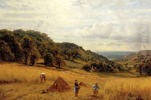 Harvesting At Luccombe, Isle Of Wight - view 1