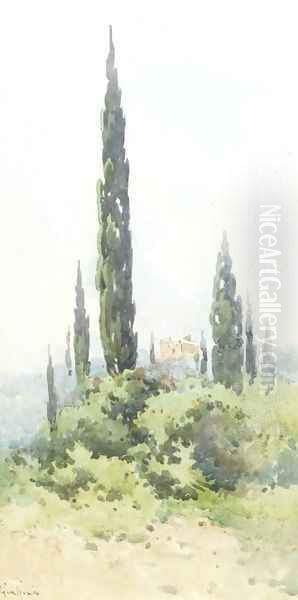 A villa amongst cypress trees, Corfu - view 1