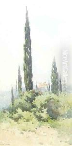 A villa amongst cypress trees, Corfu by Angelos Giallina