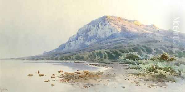 A rocky coastline - view 1