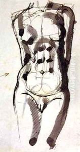 Female Torso