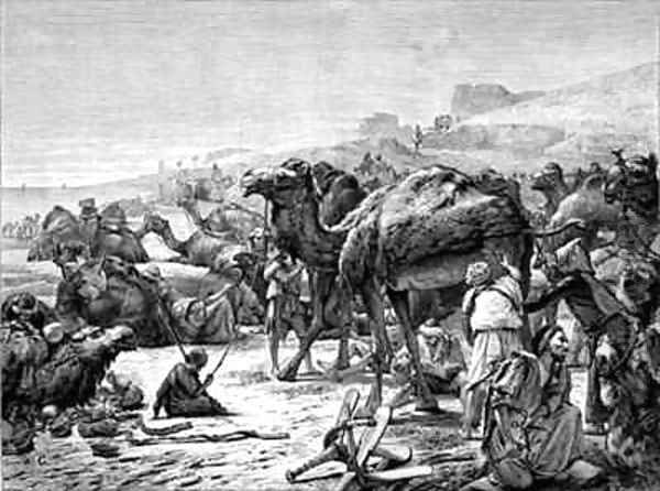 Shearing Camels - view 1