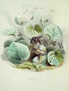 The Violet from Fleurs Animees by Jean-Jacques Grandville