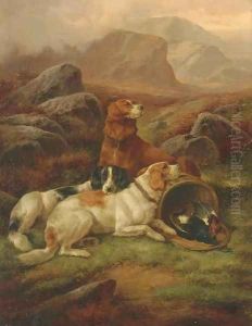 The Day's Bag 2 by John Gifford