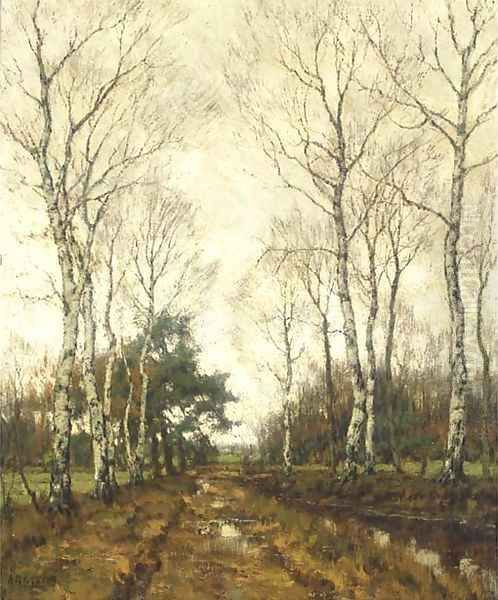 Birches in autumn - view 1