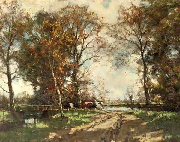 Cows on a birchpath - view 1