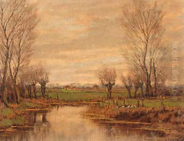 Ducks in a meadow, in spring - view 1