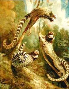A Marmoset in Three Attitudes by George Garrard