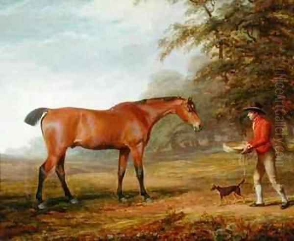 A Bay Horse Approached by a Stable lad with Food and a Halter - view 1