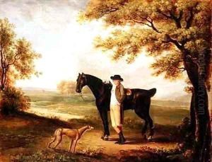 Horse rider and whippet