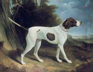 Portrait of a liver and white pointe by George Garrard