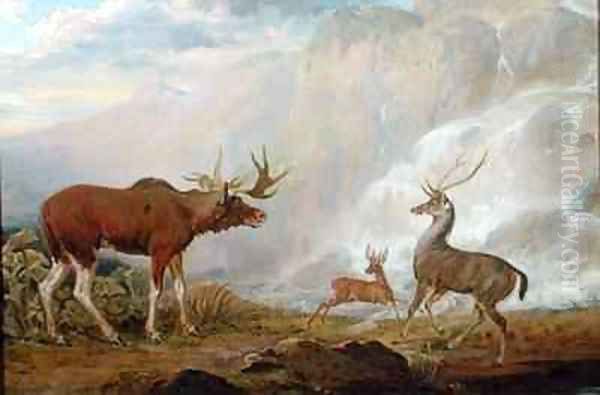Earl of Orfords Elk Antelope and Stag - view 1