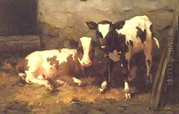 Calves in a Barn - view 1