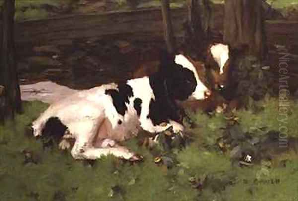 Calves - view 1