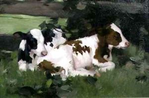 Ayrshire Calves by David Gauld