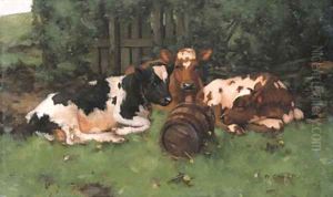 Ayrshire Calves 2 by David Gauld