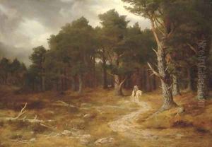 Homewards by Peter Graham