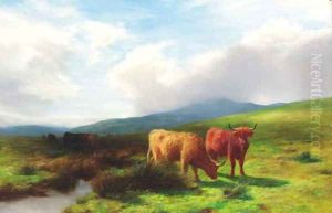 Highland cattle by a burn