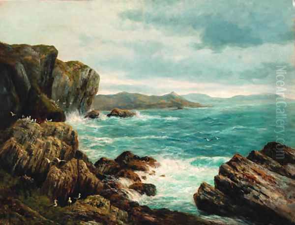 Seagulls in a rocky coastal landscape - view 1