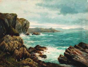 Seagulls in a rocky coastal landscape by Peter Graham