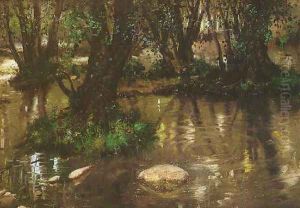 Lago en el bosque