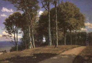 Paisaje Boscoso by Agustin Lhardy Garrigues