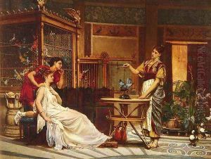 The Bird Charmer The Bird Charmer