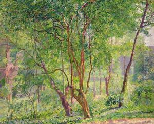 Panshanger Park by Spencer Frederick Gore