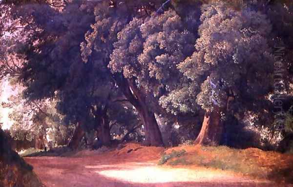 Oak Trees in Holstein - view 1
