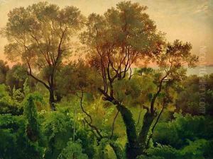 Slope with Olive Trees