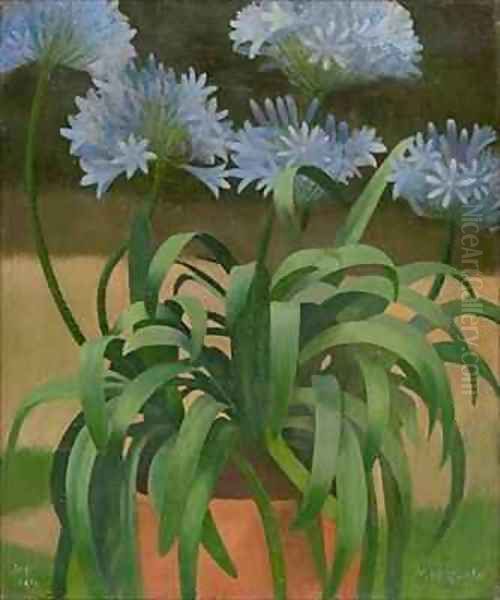 Agapanthus - view 1