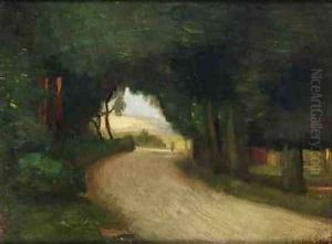 Summer landscape