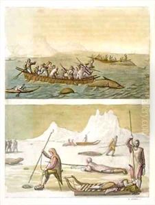 Greenland Whale fishing and Seal hunting by Gallo Gallina