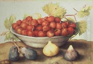 A Bowl of Cherries and Figs by Giovanna Garzoni