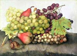 Snail with Grapes and Pears by Giovanna Garzoni