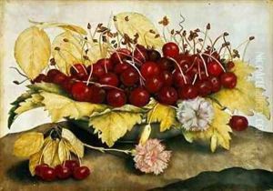 Cherries and Carnations by Giovanna Garzoni
