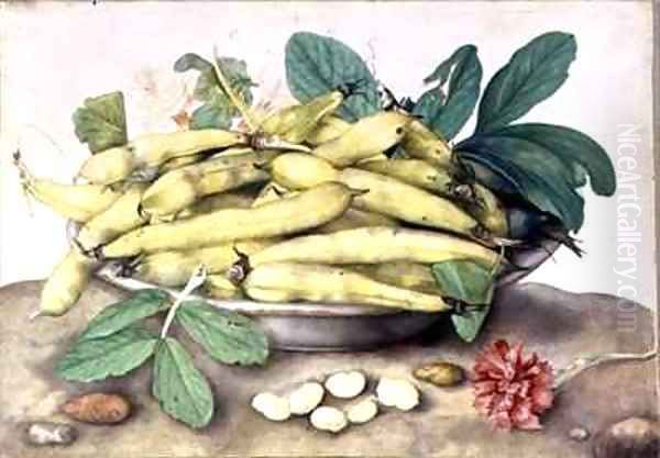 Still Life with Broad Bean Pods - view 1