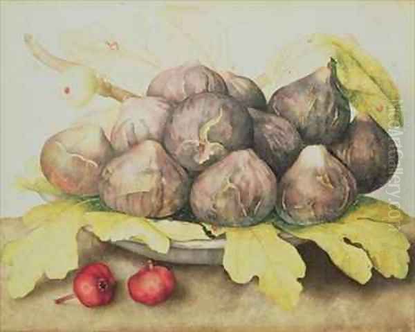 Figs - view 1