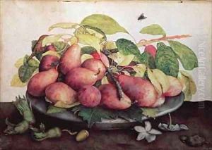 Pears with Hawthorns by Giovanna Garzoni