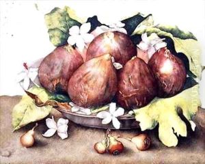 Figs on Leaves by Giovanna Garzoni