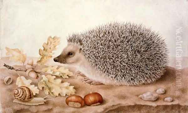 A hedgehog in a landscape - view 1