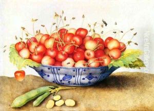 Chinese Porcelain Plate with Cherries by Giovanna Garzoni