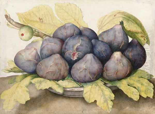 A plate of figs by Giovanna Garzoni