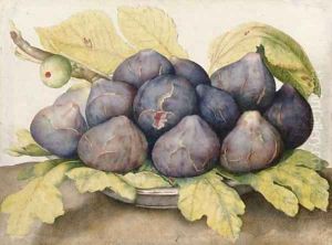 A plate of figs by Giovanna Garzoni