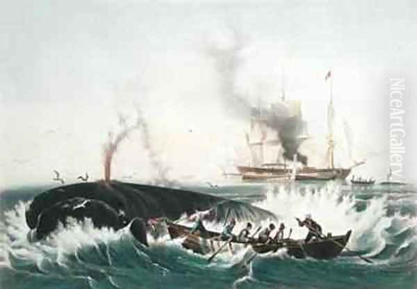 Attacking a Right Whale and Cutting In from The Whale Fishery - view 1